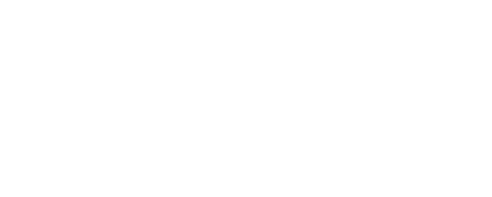 Wirally logo